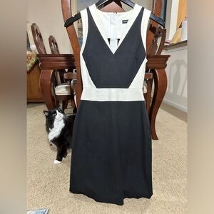 Banana Republic Black & White Classic Dress